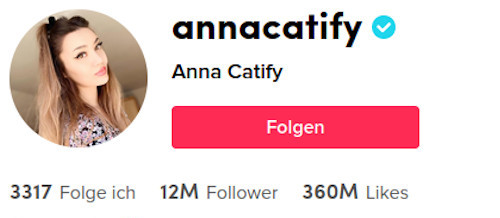 Profil von "annacatify" mit dem Namen Anna Catify, einem verifizierten Account, 3317 Follower, 12 Millionen Follower und 360 Millionen Likes.